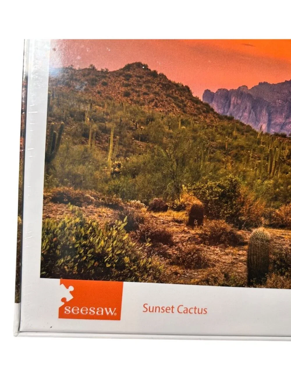 NEW Seesaw Sunset Cactus 1000-Piece Puzzle 18.9